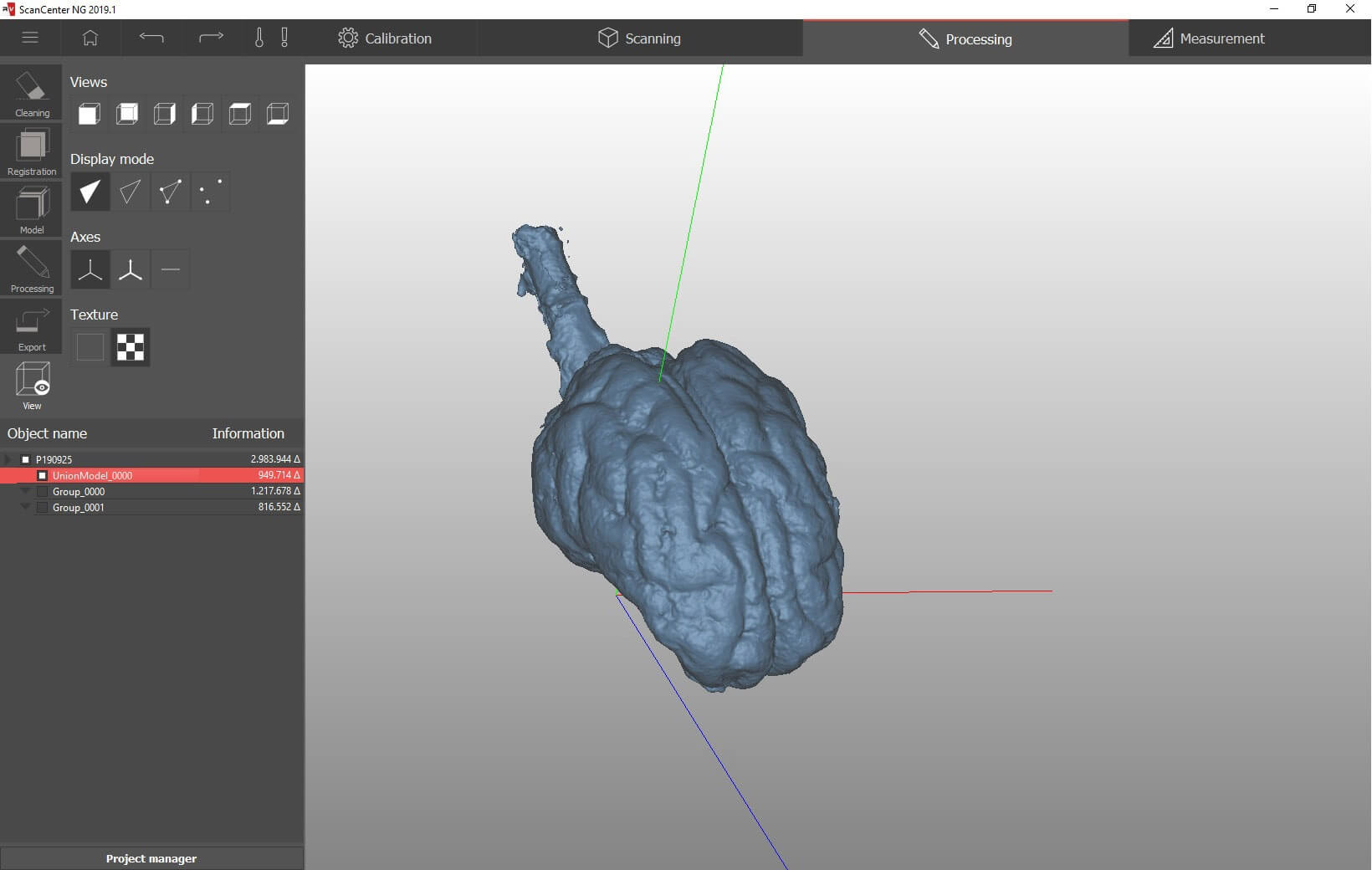 3D-Scan eines Schweinegehirns