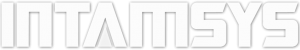INTAMSYS 3D Drucker logo INTAMSYS 3D Drucker logo